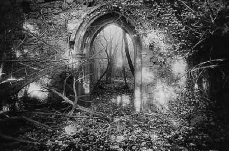 Le jardin f�erique