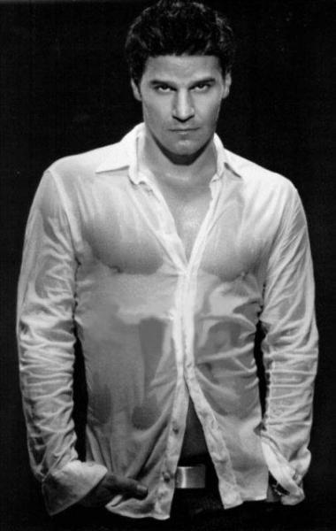David Boreanaz + chemise mouill�e transparente = MIAM!!!