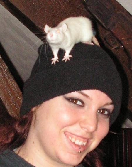 Stewie, le dernier arriv�!!!!